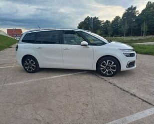 Citroen C4 SpaceTourer Gebrauchtwagen