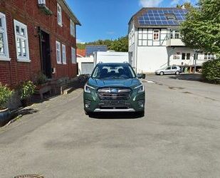 Subaru Forester Gebrauchtwagen