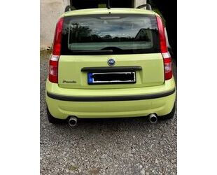 Fiat Panda Gebrauchtwagen