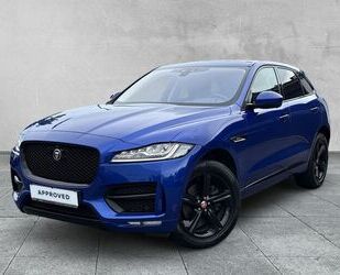 Jaguar F-Pace Gebrauchtwagen