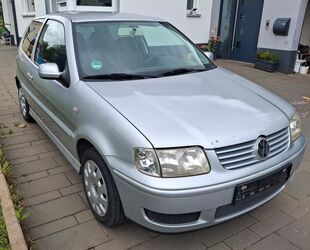 VW Polo Gebrauchtwagen