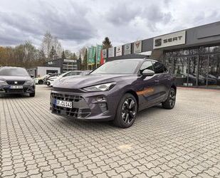 Cupra Terramar Gebrauchtwagen