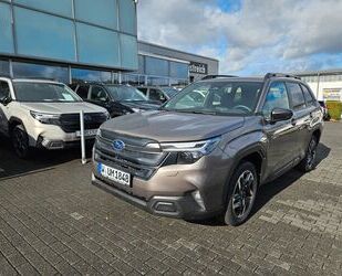 Subaru Forester Gebrauchtwagen