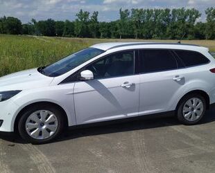 Ford Focus Gebrauchtwagen