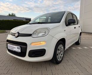 Fiat Panda Gebrauchtwagen