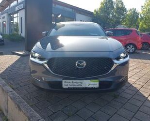 Mazda CX-30 Gebrauchtwagen