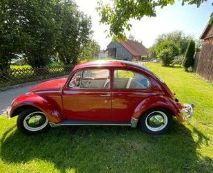 VW Käfer Gebrauchtwagen