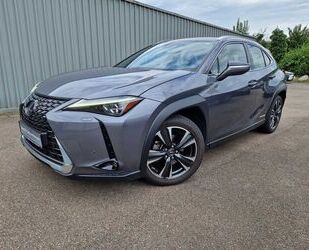 Lexus UX Gebrauchtwagen