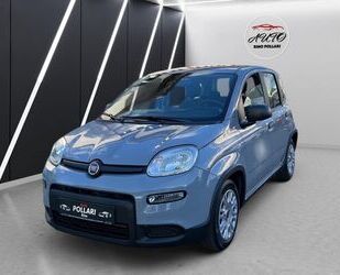 Fiat Panda Gebrauchtwagen