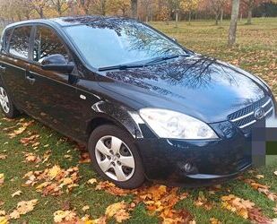 Kia ceed / Ceed Gebrauchtwagen