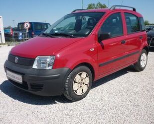 Fiat Panda Gebrauchtwagen