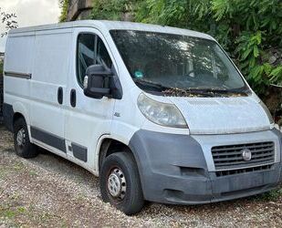 Fiat Ducato Gebrauchtwagen