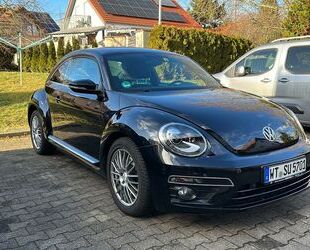 VW Beetle Gebrauchtwagen