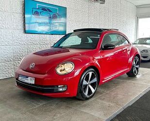 Skoda Beetle 