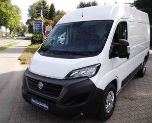 Fiat Ducato Gebrauchtwagen