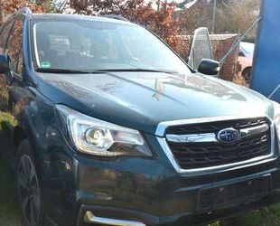 Subaru Forester Gebrauchtwagen