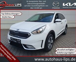 Kia Niro Gebrauchtwagen