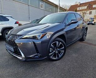 Lexus UX Gebrauchtwagen