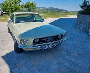 Ford Mustang Gebrauchtwagen