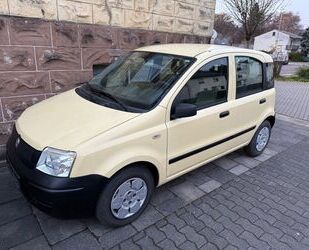 Fiat Panda Gebrauchtwagen