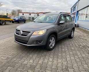 VW Tiguan Gebrauchtwagen