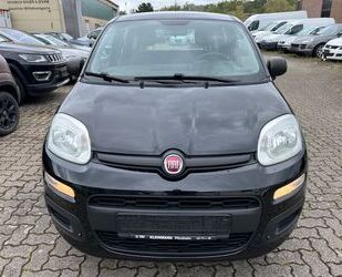 Fiat Panda Gebrauchtwagen