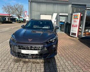 Cupra Terramar Gebrauchtwagen