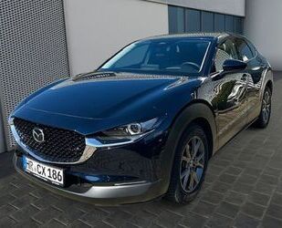 Mazda CX-30 Gebrauchtwagen