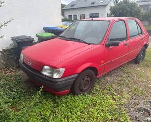 Ford Fiesta Gebrauchtwagen