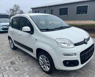 Fiat Panda Gebrauchtwagen
