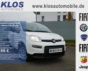 Fiat Panda Gebrauchtwagen