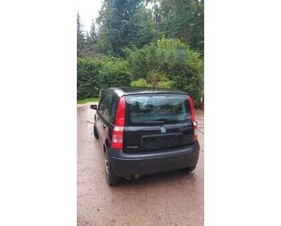 Fiat Panda Gebrauchtwagen