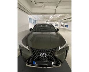 Lexus UX Gebrauchtwagen