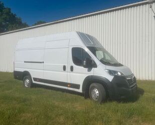 Opel Movano Gebrauchtwagen
