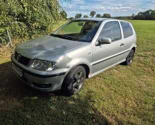 VW Polo Gebrauchtwagen
