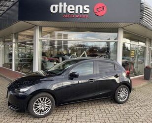 Mazda 2 Gebrauchtwagen
