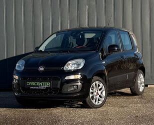 Fiat Panda Gebrauchtwagen