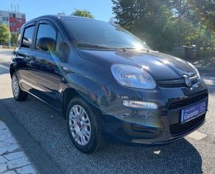 Fiat Panda Gebrauchtwagen