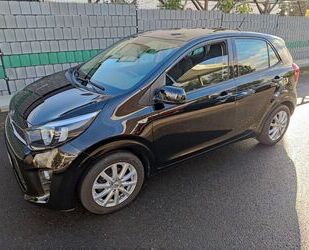 Kia Picanto Gebrauchtwagen