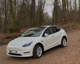 Tesla Model Y Gebrauchtwagen