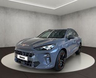 Cupra Terramar Gebrauchtwagen