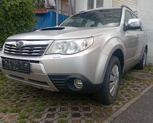 Subaru Forester Gebrauchtwagen