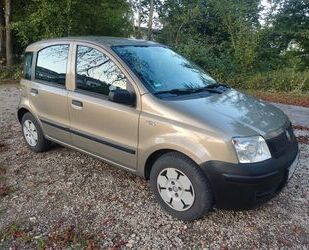 Fiat Panda Gebrauchtwagen