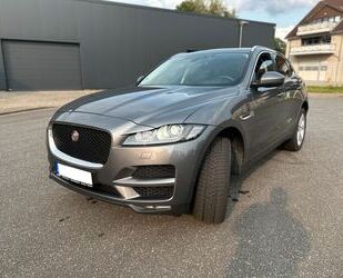 Jaguar F-Pace Gebrauchtwagen