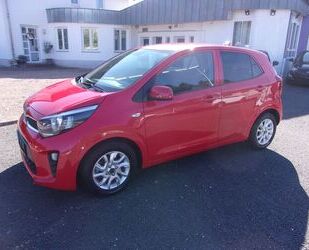 Kia Picanto Gebrauchtwagen