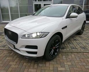 Jaguar F-Pace Gebrauchtwagen