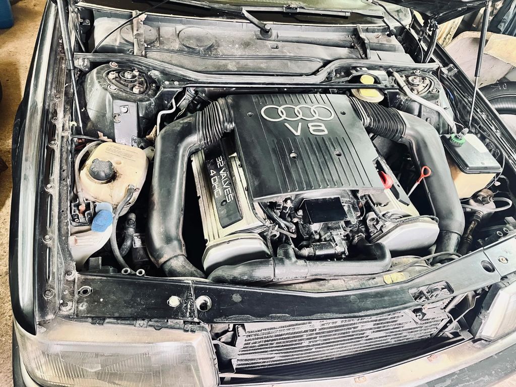 V8
