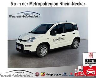 Fiat New Panda Gebrauchtwagen