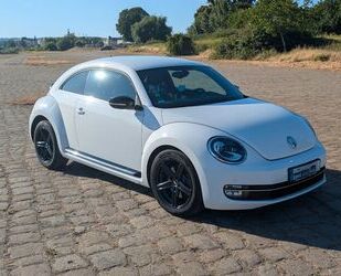 VW Beetle Gebrauchtwagen