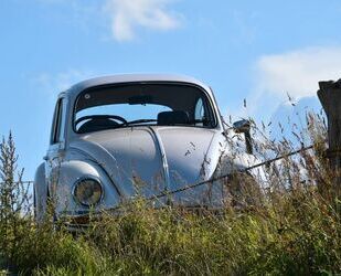 VW Käfer 